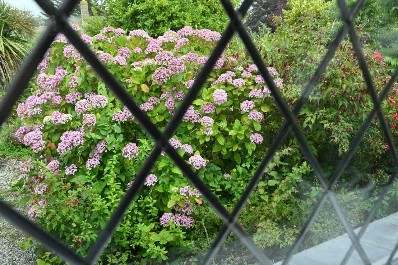 Halwell Lodge St Ives Dış mekan fotoğraf